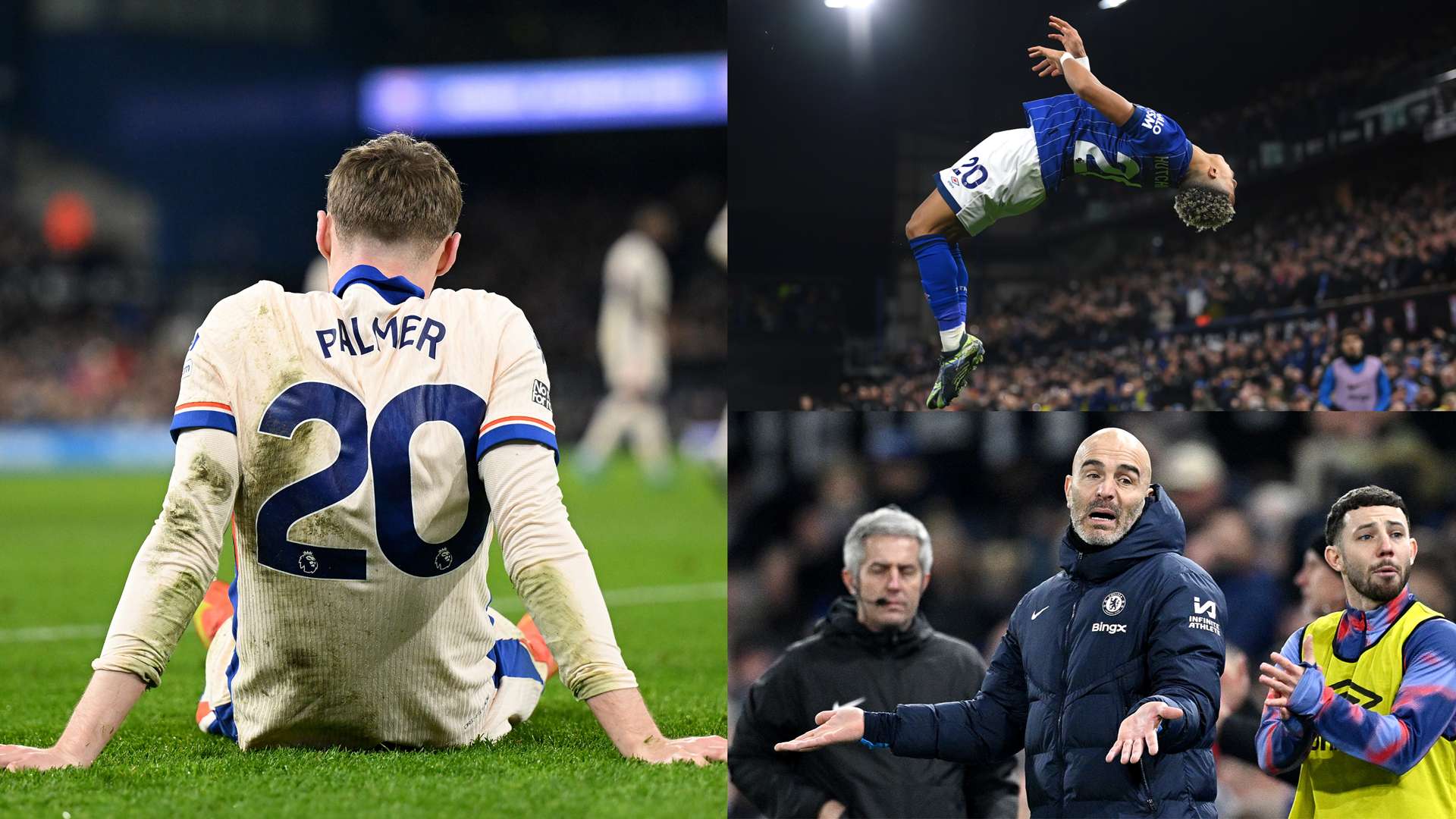 拉伯阿尔法 拉伯阿尔法