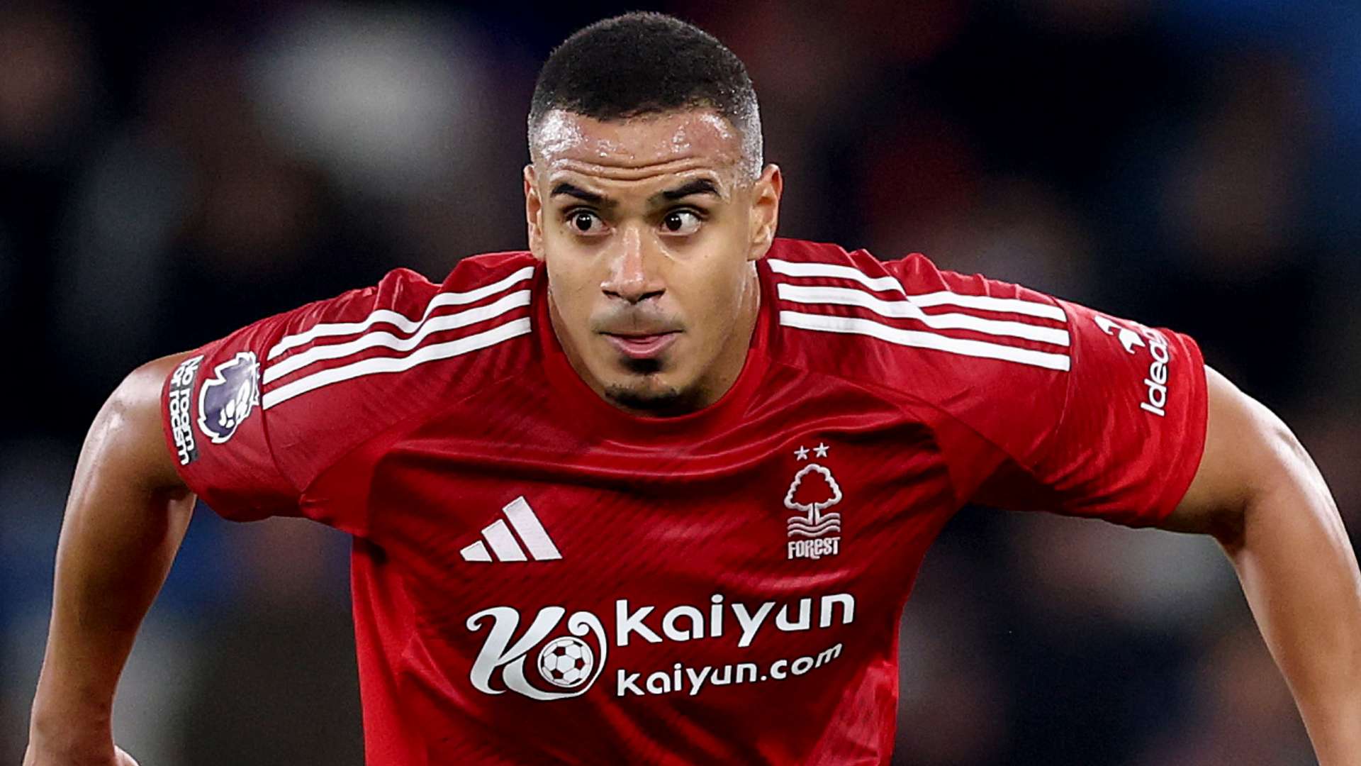 面地理解哈 面地理解哈