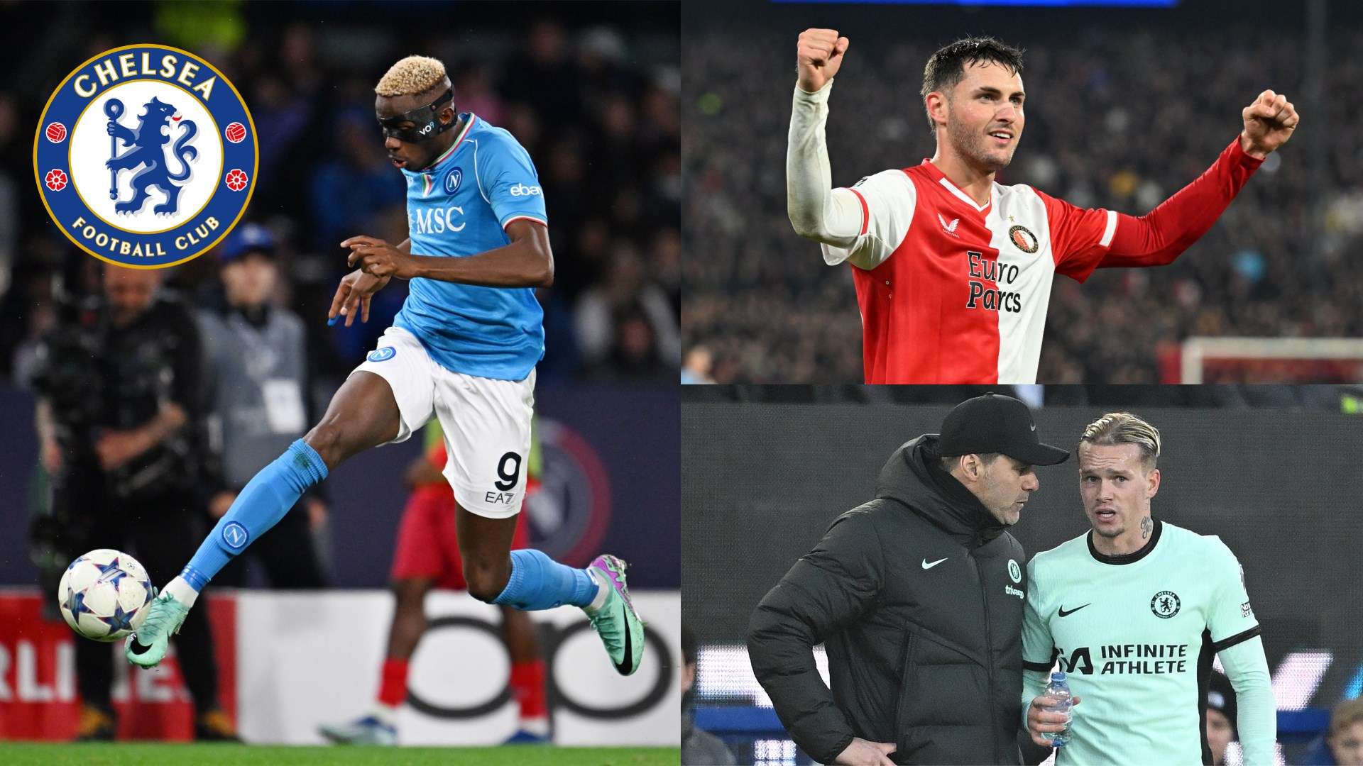 与世界级球 与世界级球