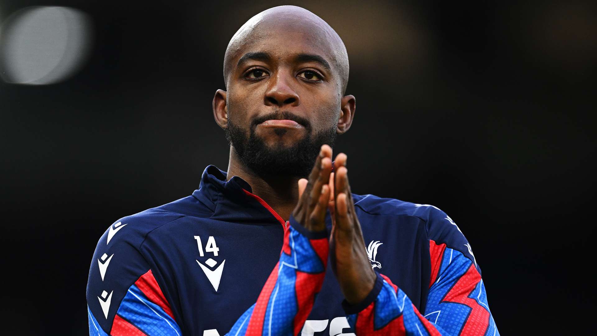 练的结果 练的结果