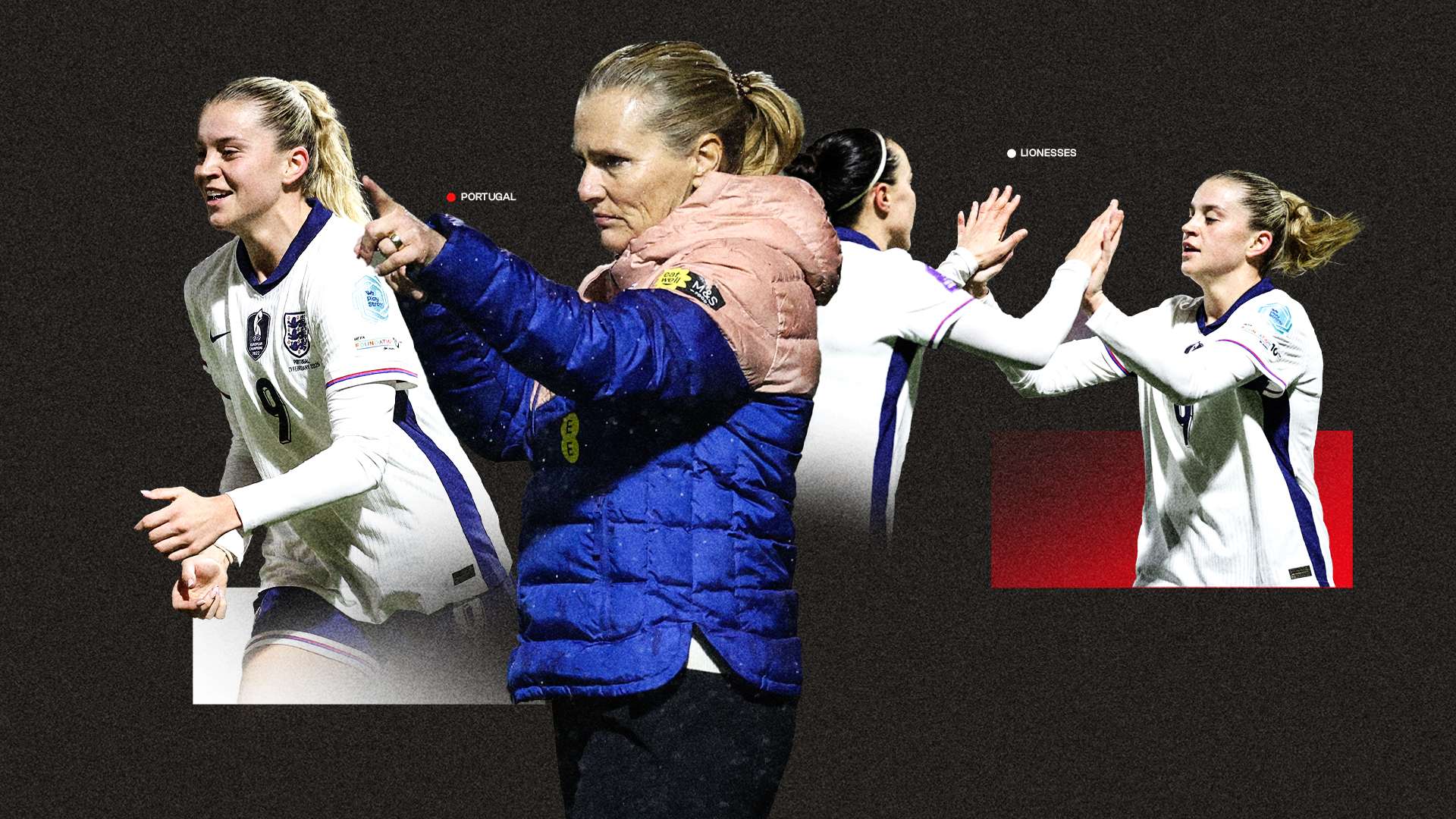 公正与专业 公正与专业