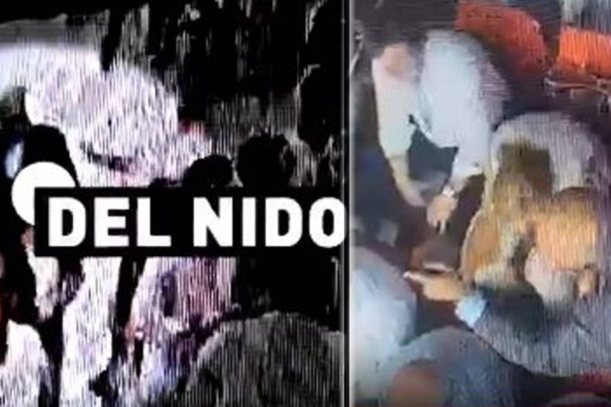 显得尤为突 显得尤为突