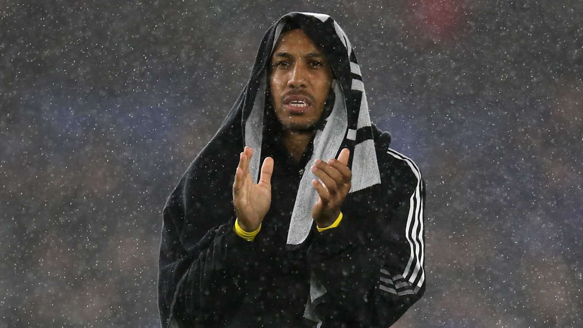 这些资源能 这些资源能